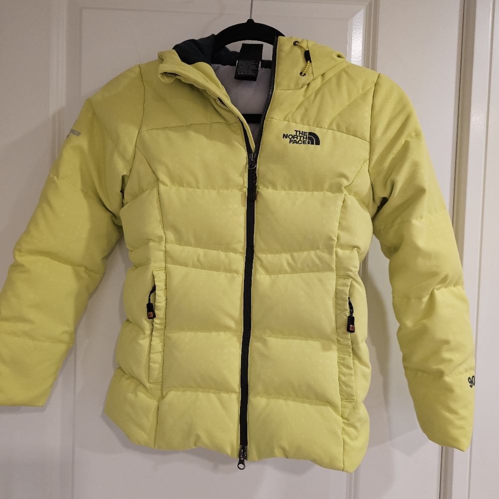 The North Face🔥🔥2X HOST PICK🔥🔥 Summit Series 900 Goose Down Jacket